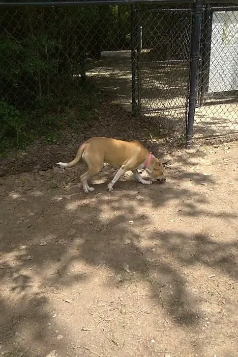 Harper's Landing Dog Park 6