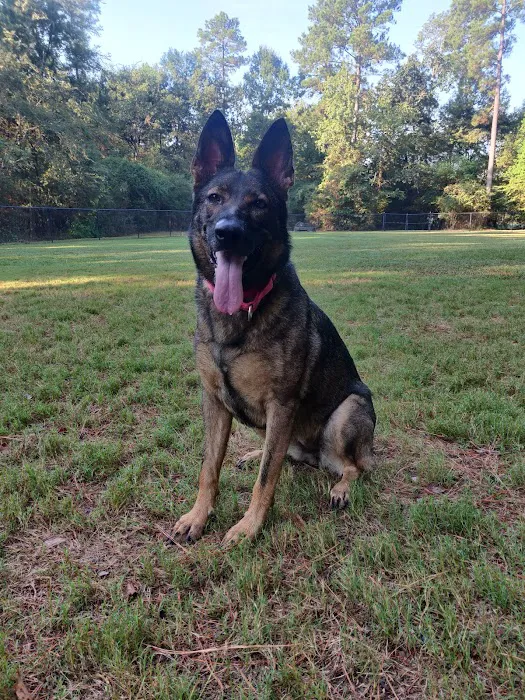 Harper's Landing Dog Park 4