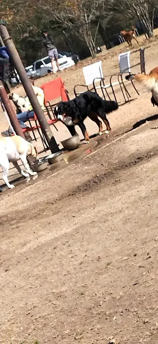 Cattail Park Dog Park 4