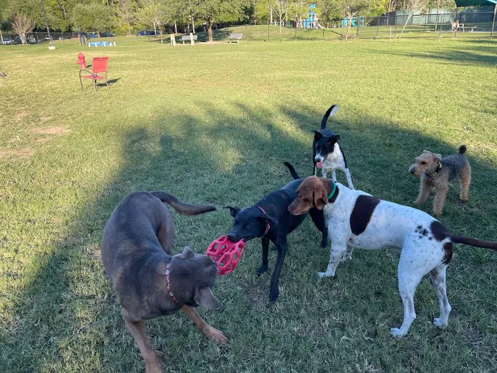 Cattail Park Dog Park 8