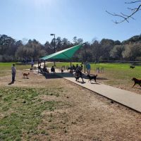 Cattail Park Dog Park ico