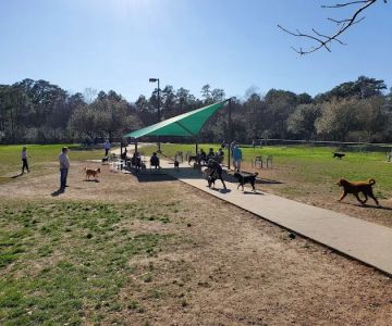 Cattail Park Dog Park