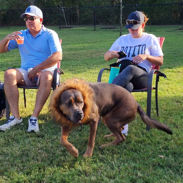 Cattail Park Dog Park 10