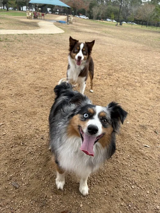Cattail Park Dog Park 3