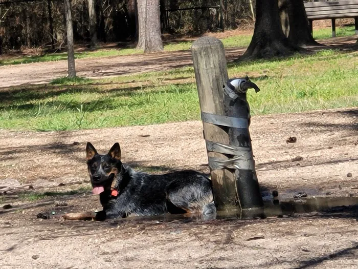 Burroughs Dog Park 8