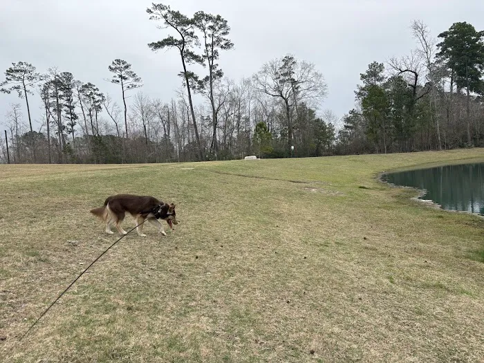 Grand Central Lake house dog park 5