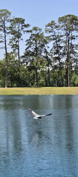 Grand Central Lake house dog park 8