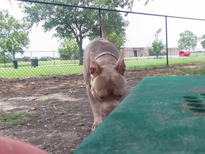 Texas City Dog Park 5