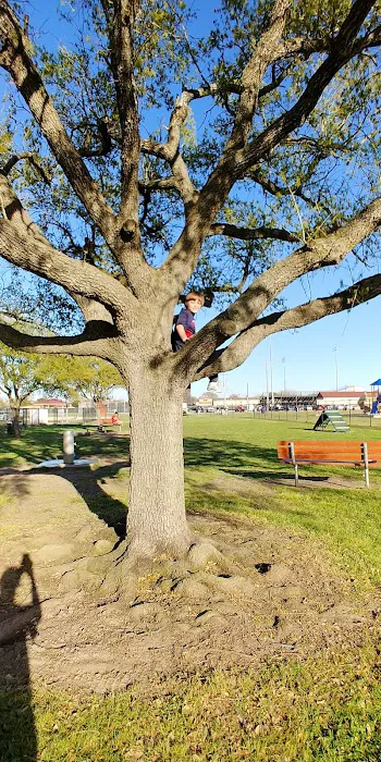 Texas City Dog Park 3