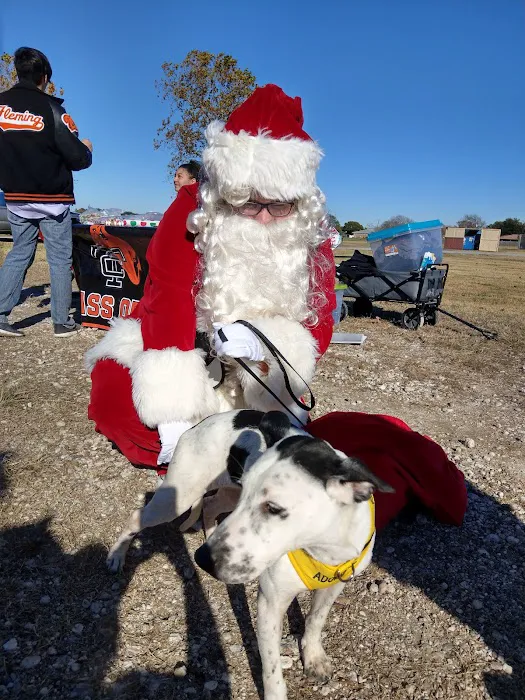 Texas City Dog Park 6