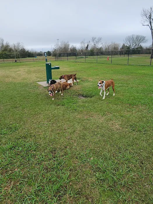 Alvin Dog Park 7