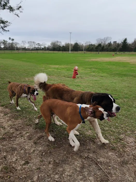 Alvin Dog Park 4