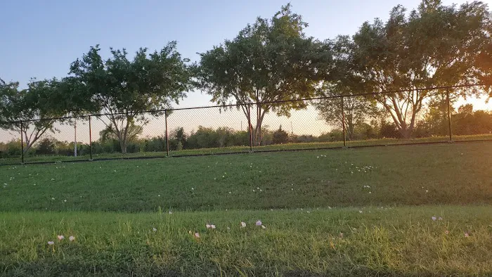 Alvin Dog Park 9