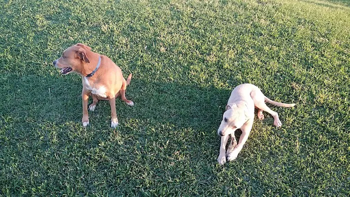 Tom Bass Dog Park 9