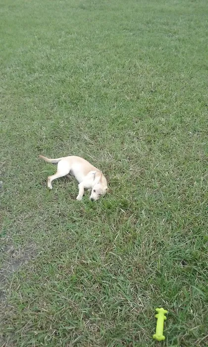 Tom Bass Dog Park 6