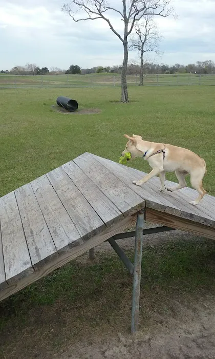 Tom Bass Dog Park 4