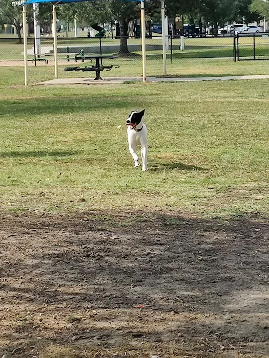 Southdown Dog Park 3