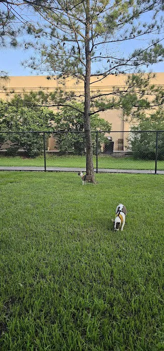 FB MUD 35 Dog Park 4
