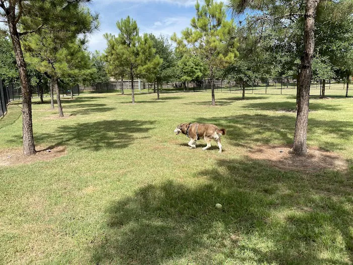 FB MUD 35 Dog Park 7
