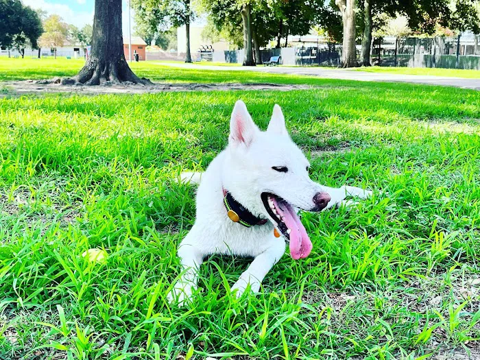 City of Katy Off-Leash Dog Park 7