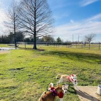 Cross Creek Ranch Canine Commons ico
