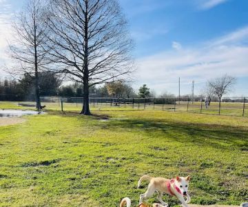 Cross Creek Ranch Canine Commons