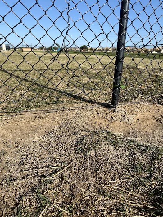 Dog Park at Tamarron 10