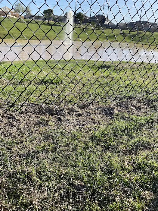 Dog Park at Tamarron 7