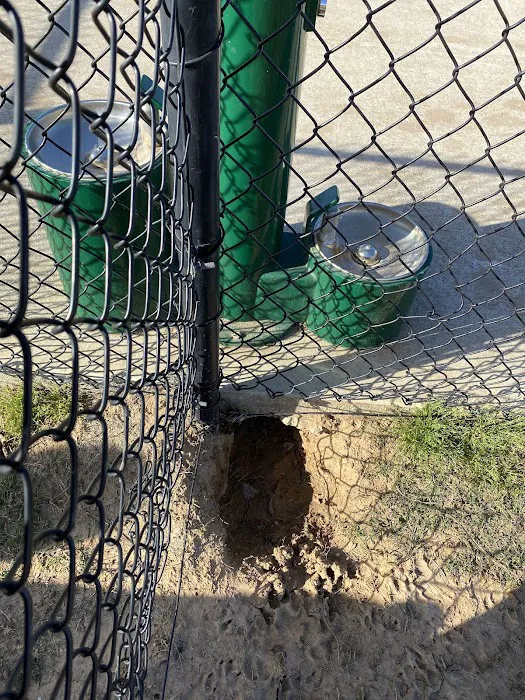 Dog Park at Tamarron 9