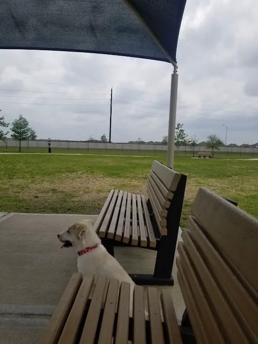 Walnut Creek Dog Park 1