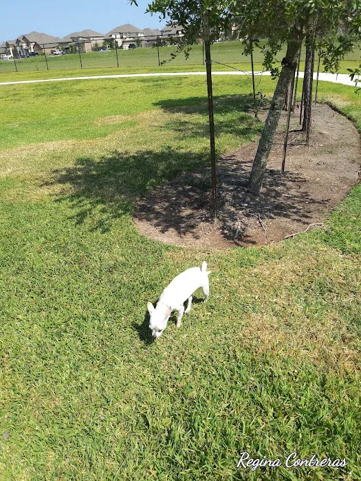 Walnut Creek Dog Park 7