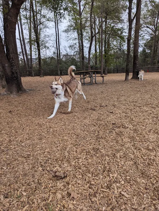 Admiral Bark Park 6