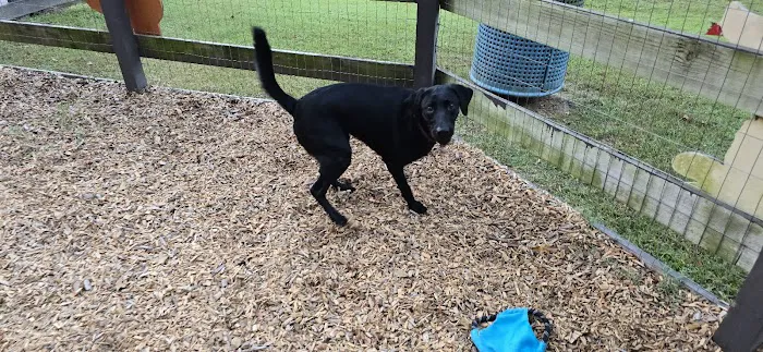 Admiral Bark Park 1