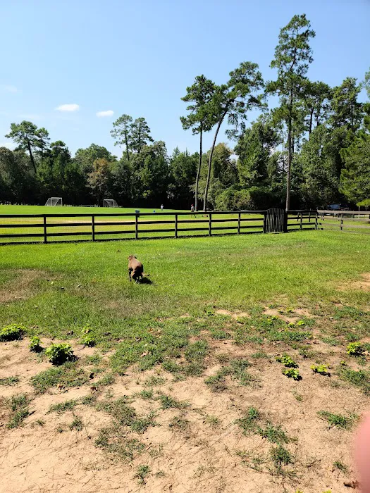 Admiral Bark Park 7