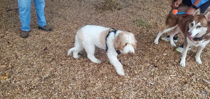 Admiral Bark Park 4