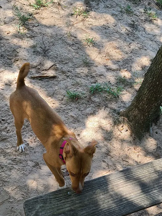 Admiral Bark Park 9