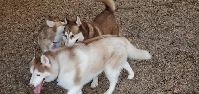 Admiral Bark Park 3