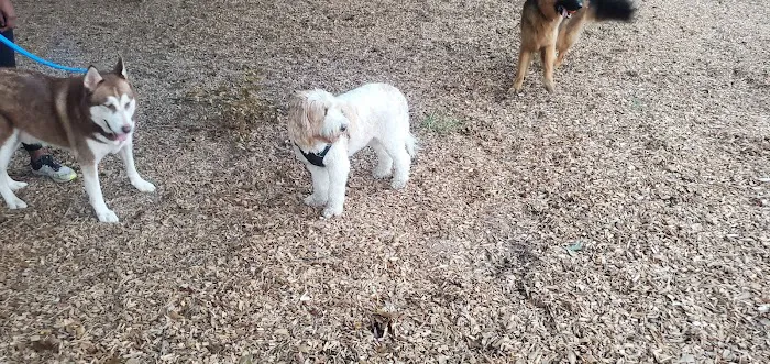 Admiral Bark Park 2