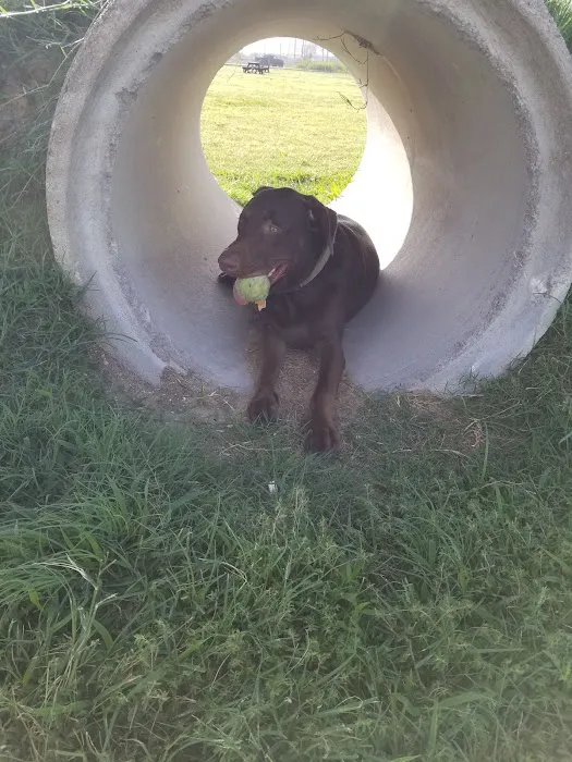 West End Dog Recreation Area 2