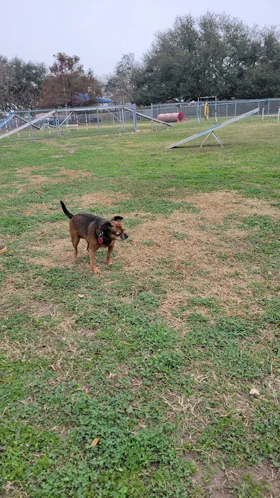 Lindale Dog Park 3