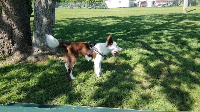 Officer Cash Memorial Dog Park 2