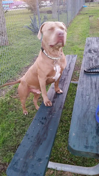 Officer Cash Memorial Dog Park 9