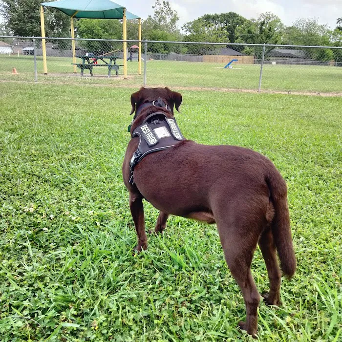 Officer Cash Memorial Dog Park 8