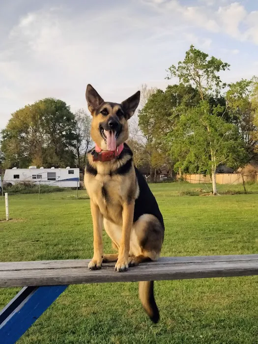 Officer Cash Memorial Dog Park 4