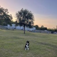 Officer Cash Memorial Dog Park ico