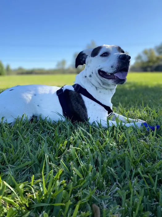 Officer Cash Memorial Dog Park 3