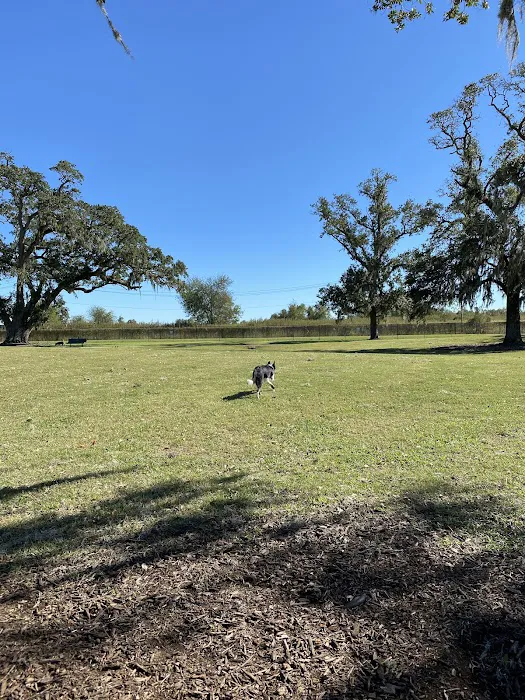 BASF Dog Park 7