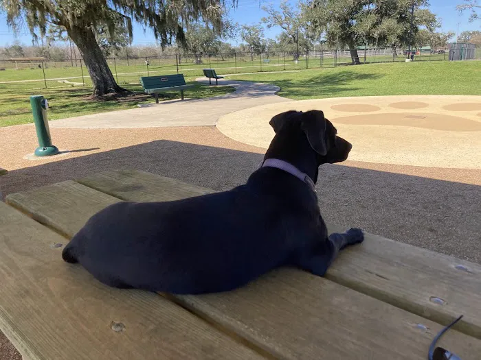 BASF Dog Park 5