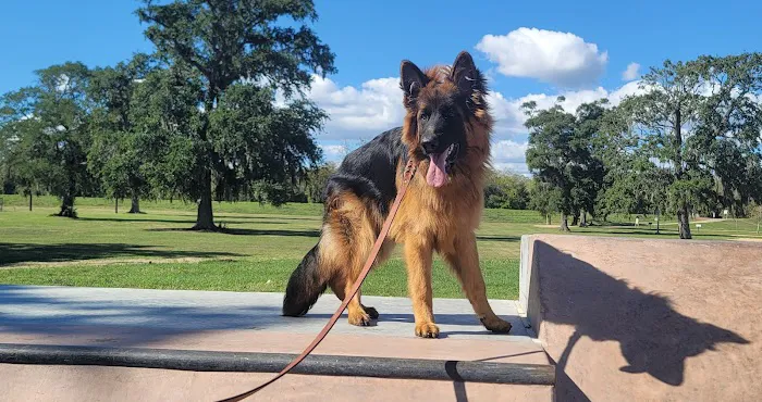 BASF Dog Park 3