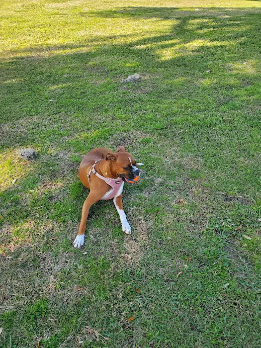 BASF Dog Park 1